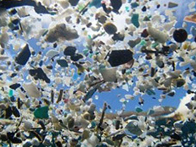 Ocean Plastic Interview